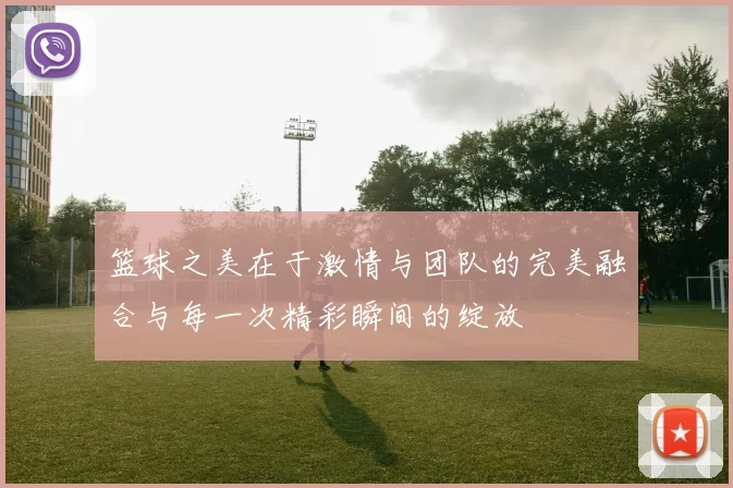 篮球之美在于激情与团队的完美融合与每一次精彩瞬间的绽放