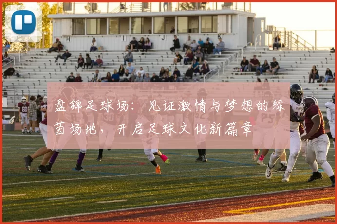 盘锦足球场：见证激情与梦想的绿茵场地，开启足球文化新篇章